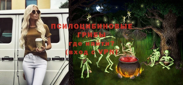 бошки Богородск