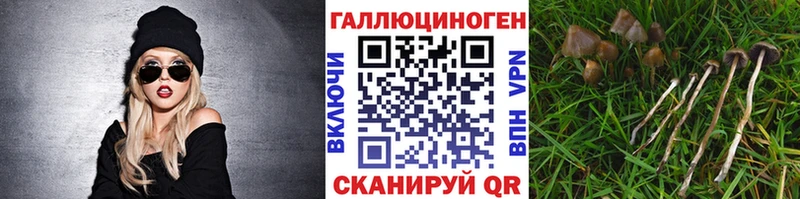 это как зайти  Пересвет  blacksprut как войти  Псилоцибиновые грибы Psilocybine cubensis  где найти  